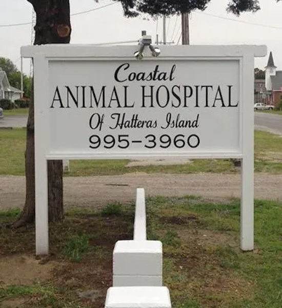 Coastal Animal Hospital of Hatteras Island